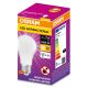 Антибактеріальна LED лампочка A75 E27/10W/230V 2700K - Osram