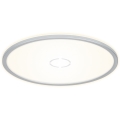 Briloner 3392-014 - Светодиодный потолочный светильник FREE LED/22W/230V ⌀ 42 см