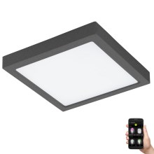Eglo 33578- LED світильник для ванної з регулюванням яскравості ARGOLIS-C LED/22W/230V IP44 антрацит