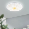 Eglo - Светодиодный потолочный светильник LED/10W/230V