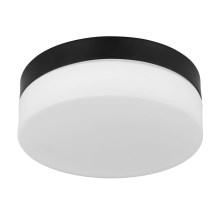 Globo - Светильник для ванной комнаты 1xE27/60W/230V диаметр 18,4 см IP44