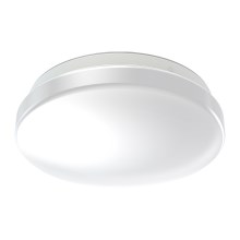 Ledvance - Светодиодный потолочный светильник для ванной комнаты CEILING ROUND LED/12W/230V 6500K IP44