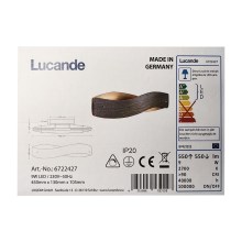 Lucande - Светодиодный настенный светильник LIAN LED/9W/230V
