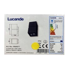 Lucande - Уличный светодиодный настенный светильник GABRIELA 2xLED/9,5W/230V IP54