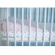 MOTHERHOOD - Ортопедическая подушка 60x45 см, 0-6 месяцев розовый