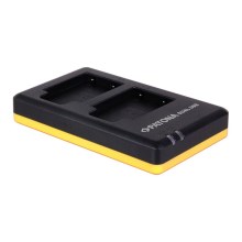PATONA - Зарядное устройство для фотоаппарата Dual Quick Olympus Li-40B USB