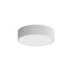 Потолочный светильник для ванной комнаты CLEO 2xE27/24W/230V d. 30 cm серая IP54