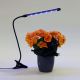Светодиодная лампа с зажимом и регулированием яркости для освещения растений LED/3W/230V черный