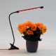 Светодиодная лампа с зажимом и регулированием яркости для освещения растений LED/3W/230V черный