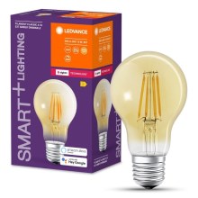 Світлодіодна лампочка з регулюванням яскравості SMART+ FILAMENT A55 E27/6W/230V 2400K - Ledvance