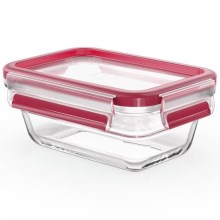 Tefal - Пищевой контейнер 0,45 л MSEAL GLASS красный/стекло